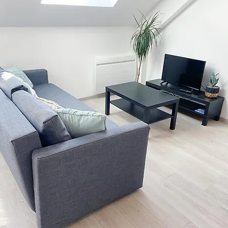 Apartment Le Moisson, Centre Ville, Wifi, Netflix Reims